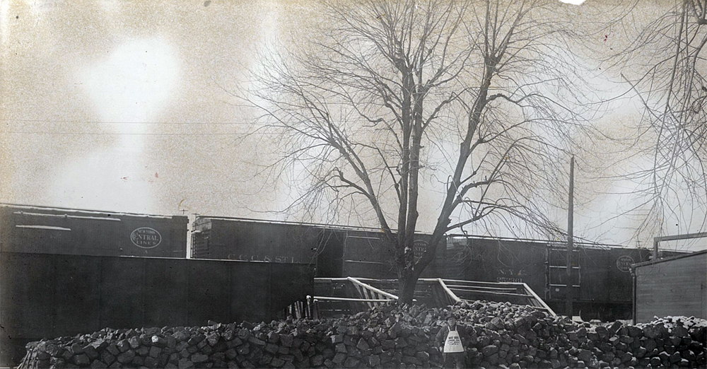Root Lumber History Train